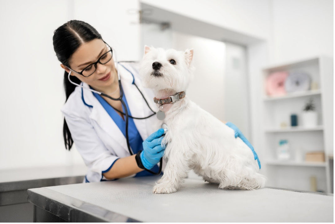 Choosing Gloves by Healthcare Setting: A Buyer's Guide