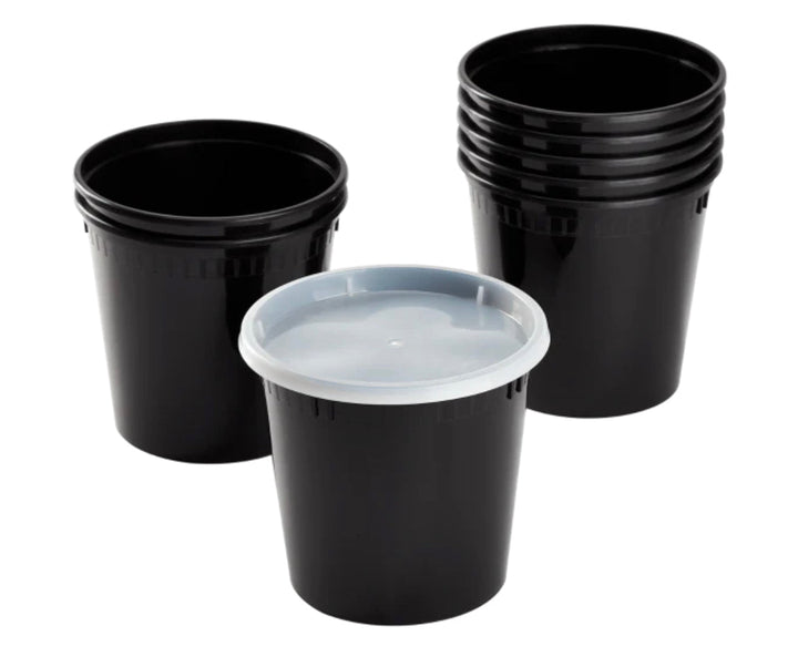 24oz PP Black Plastic Injection Molded Deli Containers & Clear Lids (117mm) - 240 sets